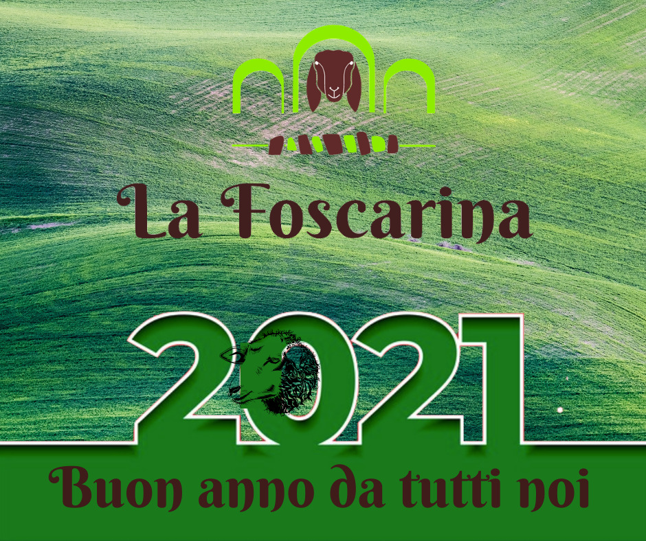 Buon anno dalla Foscarina