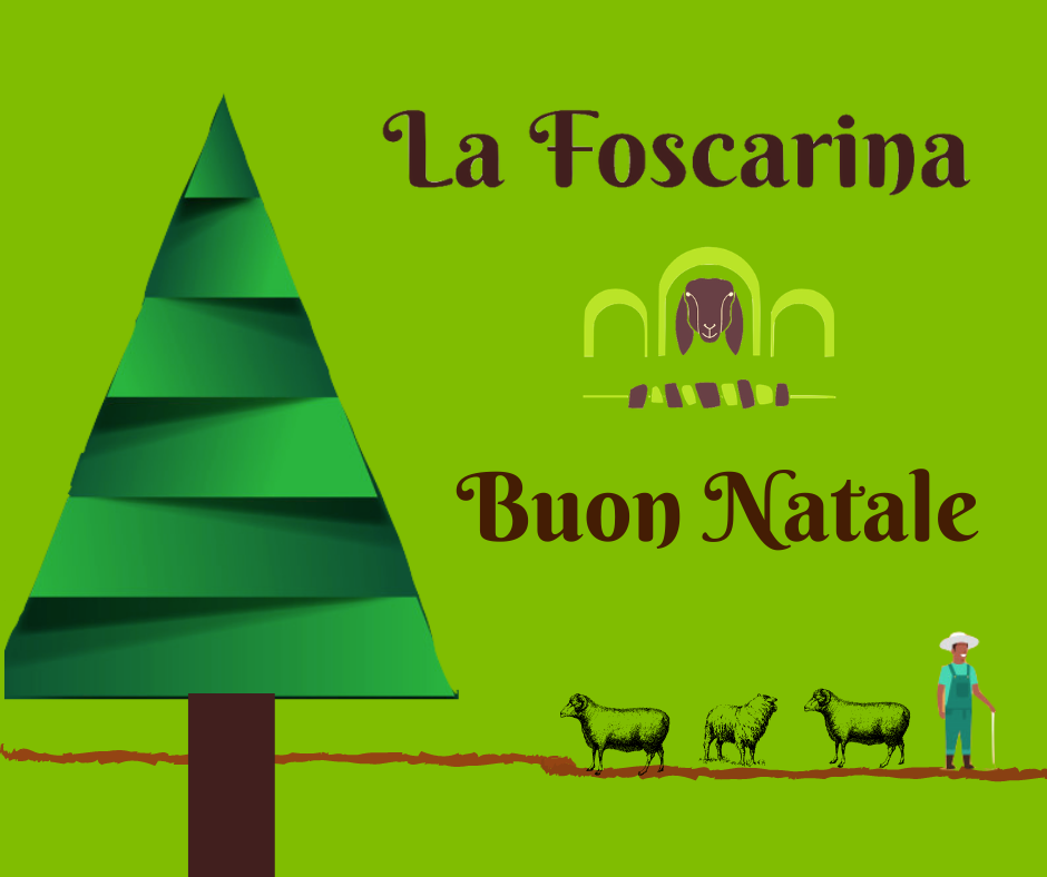 Buon Natale dalla Foscarina