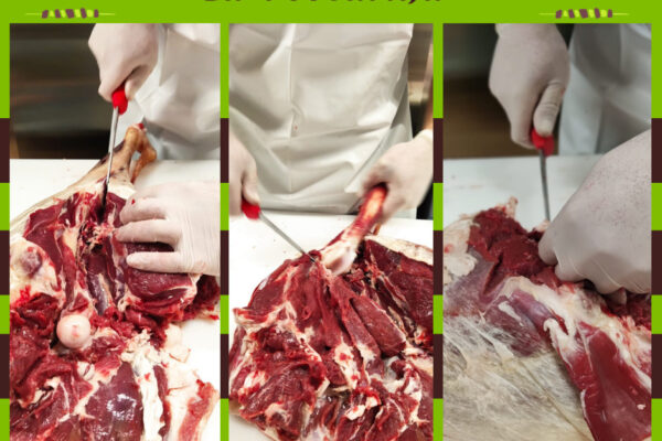 Prenota e gusta: la tua carne di pecora per grandi ricette