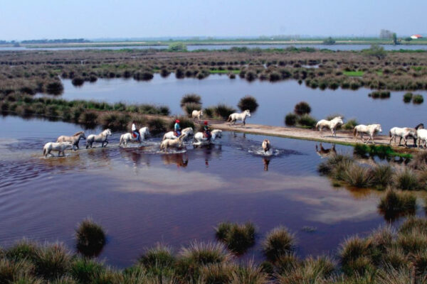 Autunno sul Delta del Po: un’esperienza tante emozioni