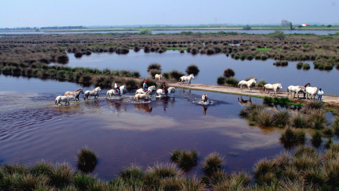 Autunno sul Delta del Po: un’esperienza tante emozioni