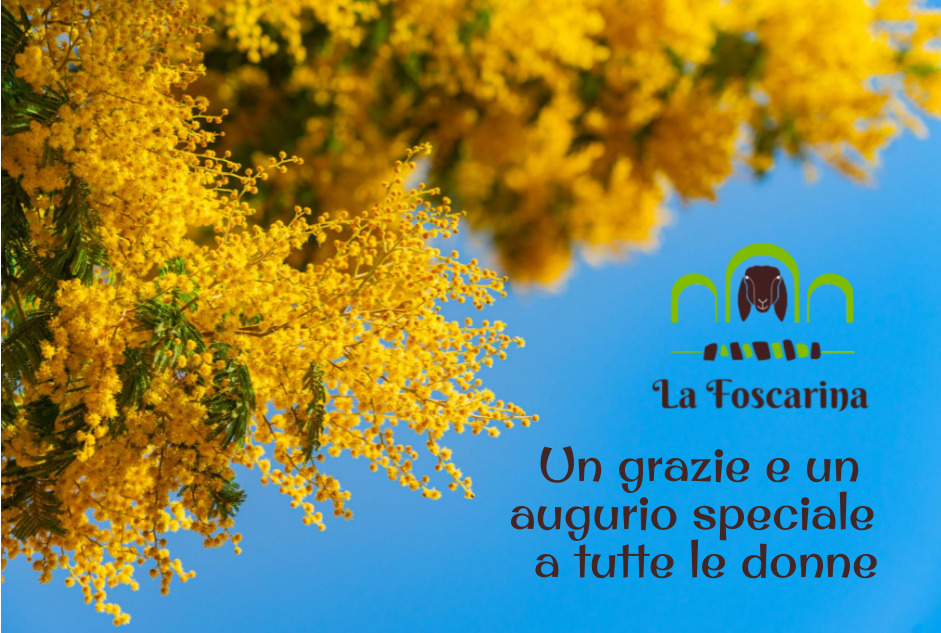 Auguri a tutte le donne