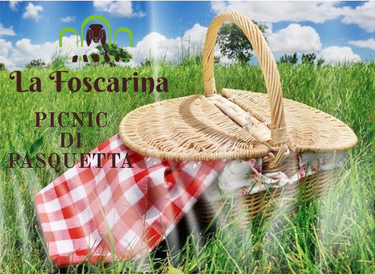 Un picnic vicino a casa