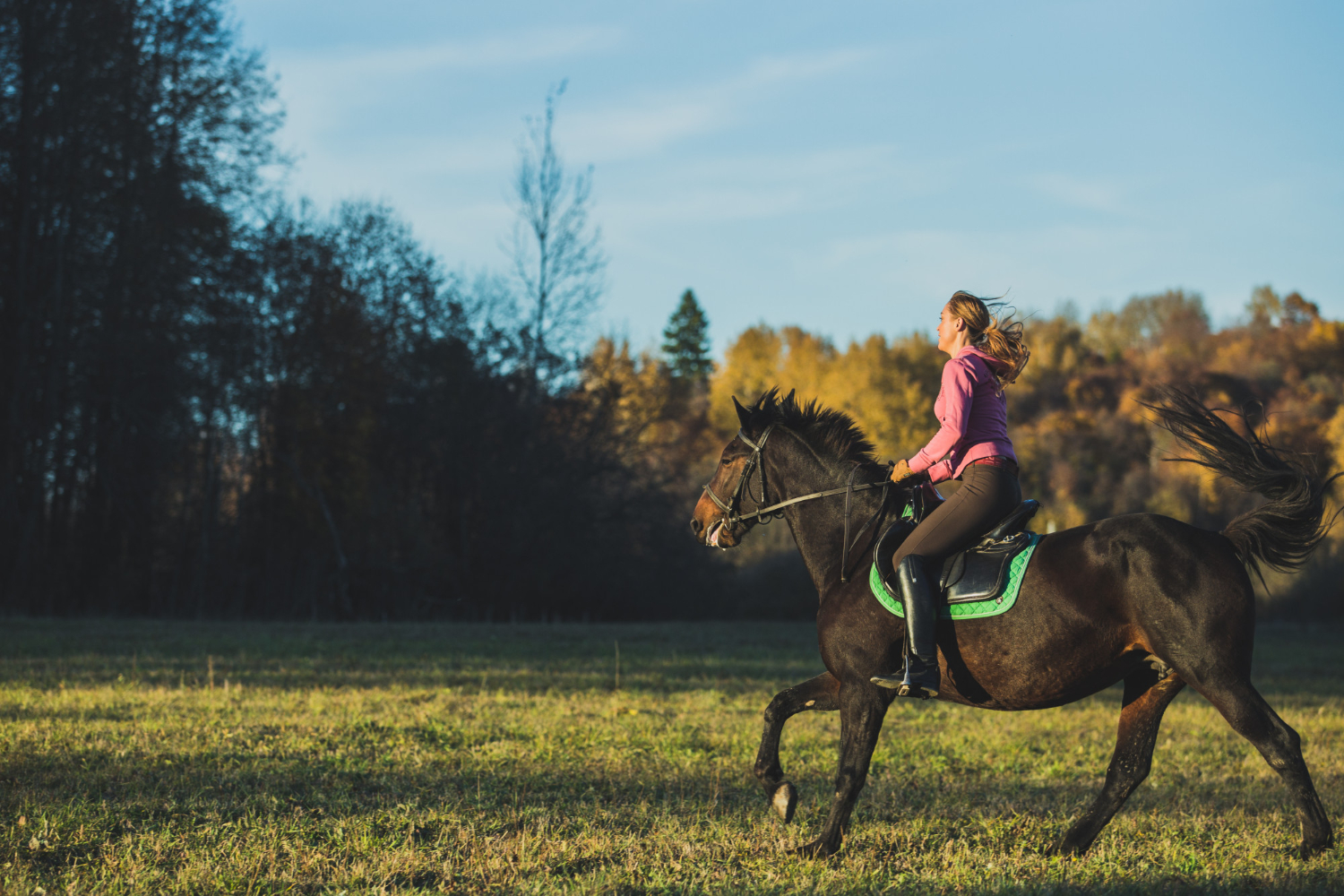 Relax a cavallo