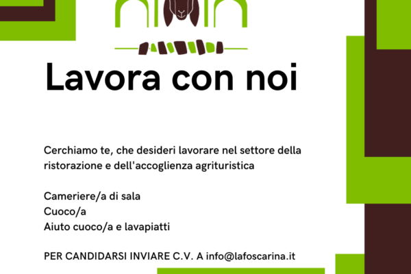 Offerte di lavoro