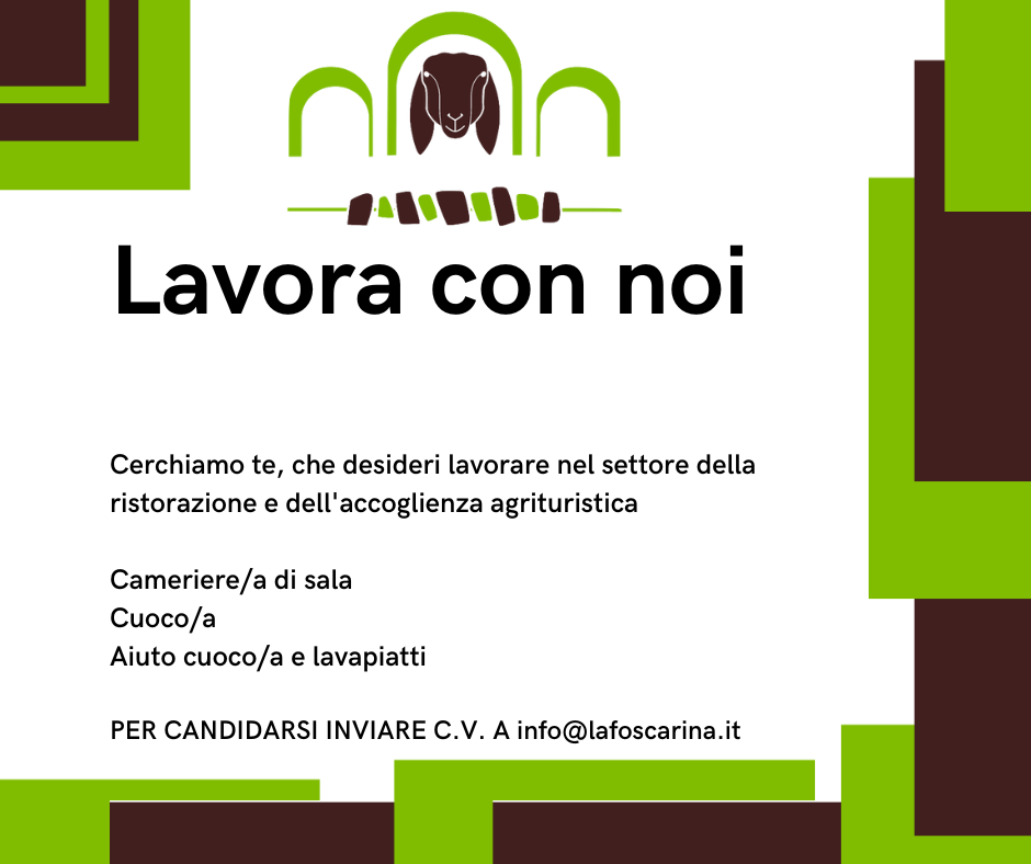 Offerte di lavoro