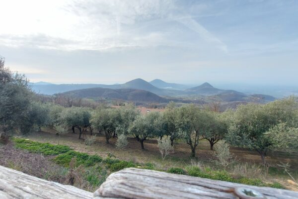 Arriva la Primavera