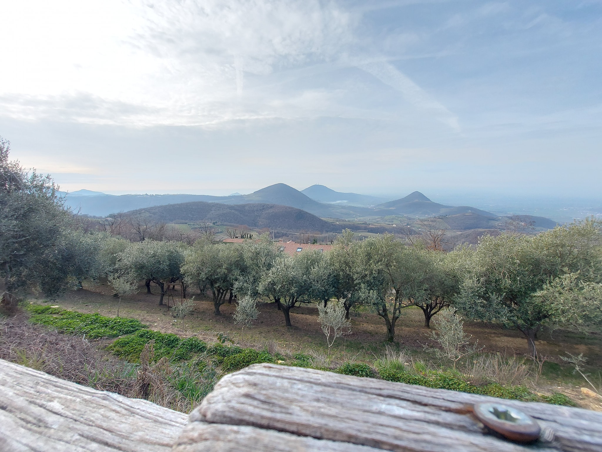 Arriva la Primavera