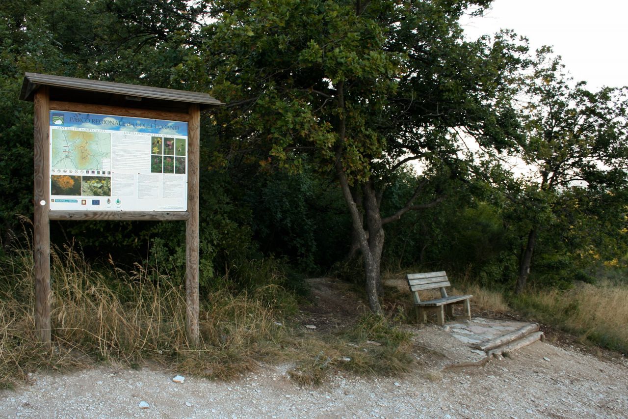 Il sentiero del monte Cecilia n°8