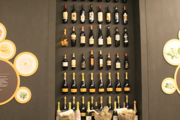 Muvi: museo del vino colli Euganei a Vò